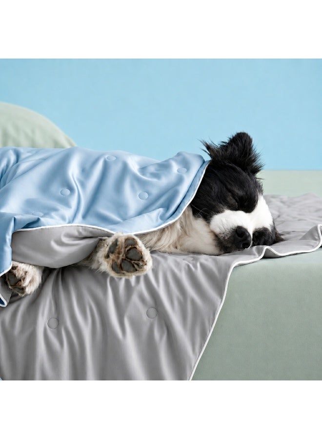 Premium cooling blanket, perfect for summer, a thoughtful gift for your pet, Breathable, washable, and heat-absorbing, it helps keep your pet cool on hot nights, Light blue and gray color scheme, 150 x 105 cm - Image 1