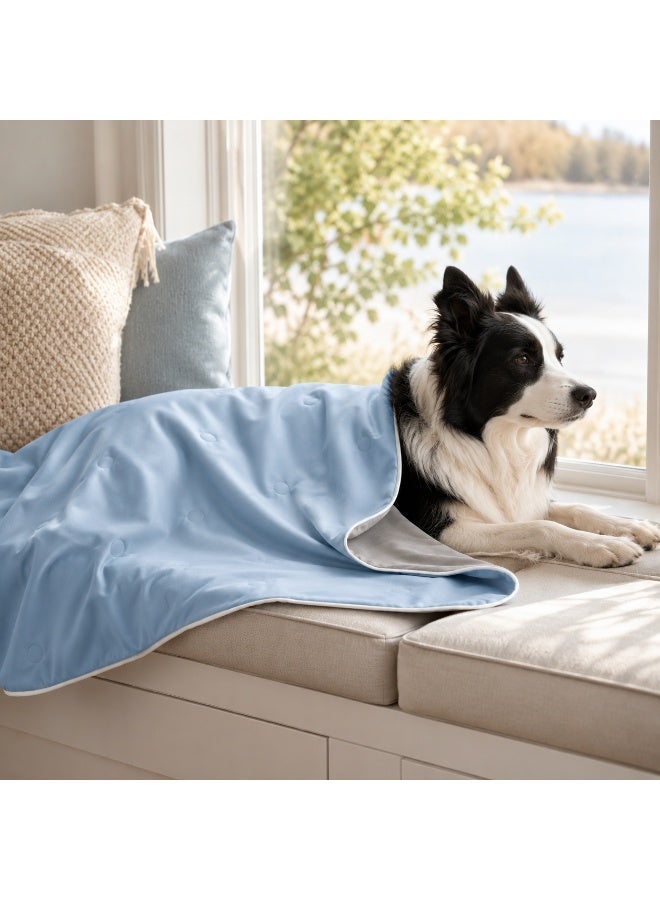 Premium cooling blanket, perfect for summer, a thoughtful gift for your pet, Breathable, washable, and heat-absorbing, it helps keep your pet cool on hot nights, Light blue and gray color scheme, 150 x 105 cm - Image 2
