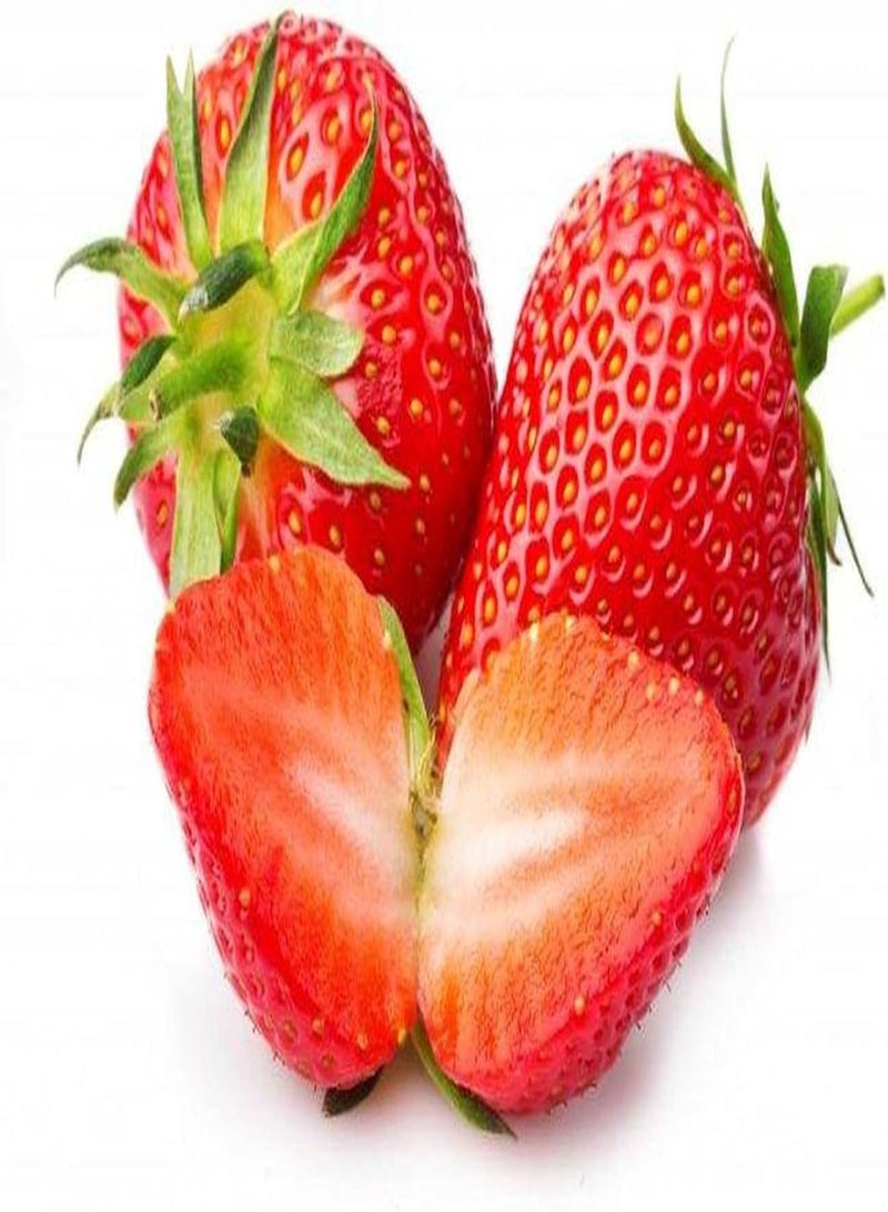 GGOOT 200pcs Heirloom Strawberry Seeds Grow Your Own Fresh Natural Fruits Strong Adaptability Easy to Maintain Turn Red Can Harvest - Image 2