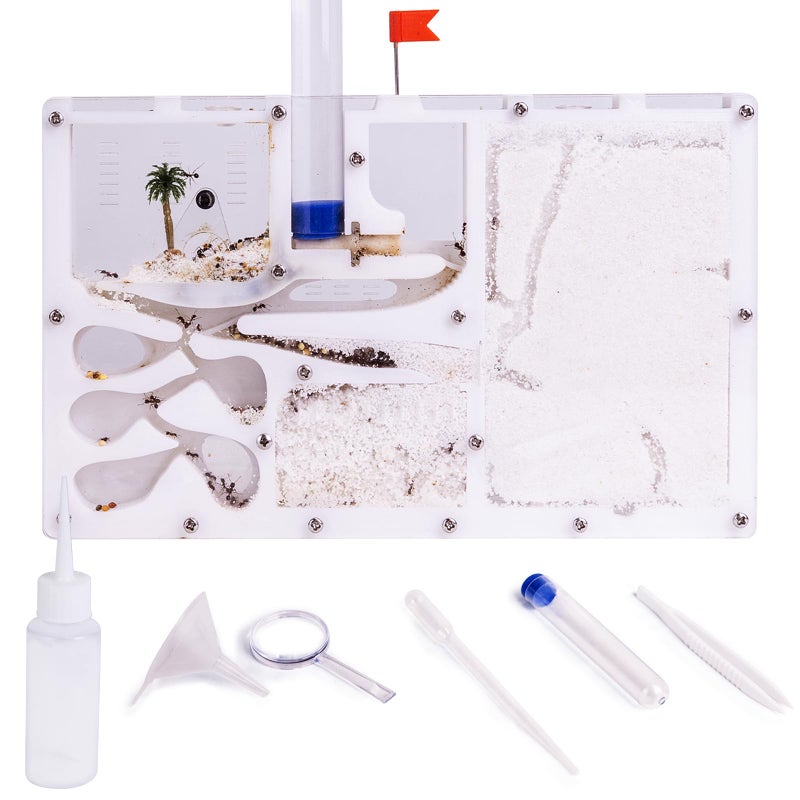 DigNew Ant Farming CastleHabitat Science Learning KitFarms for Live AntsStudy of EcosystemBehavior of Ant Colony Explore The World at Home School Live Ants NOT Included White - Image 3