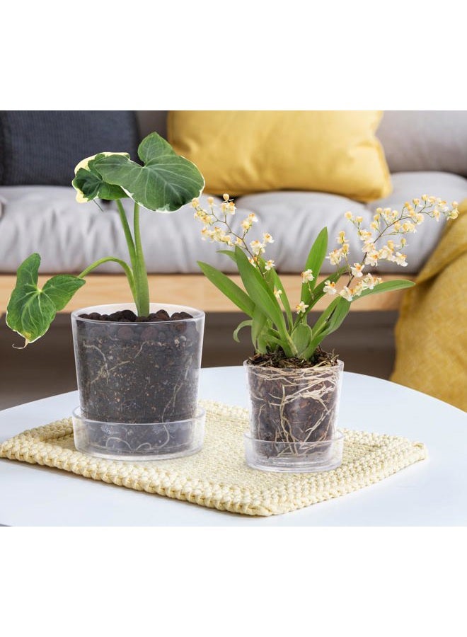 Phoenix Vine 3.5 Inch 4.5 Inch Clear Acrylic Houseplants Planter Pot with Tray, Orchid Pot with Drainage Holes, Deep Saucer for Bottom Watering, Transparent Containers for Indoor Plants, Herbs, 91-B-X - Image 2