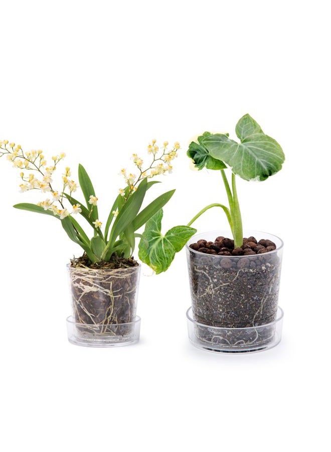 Phoenix Vine 3.5 Inch 4.5 Inch Clear Acrylic Houseplants Planter Pot with Tray, Orchid Pot with Drainage Holes, Deep Saucer for Bottom Watering, Transparent Containers for Indoor Plants, Herbs, 91-B-X - Image 1