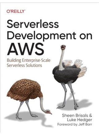 Serverless Development On Aws Building Enterprisescale Serverless Solutions - pzsku/ZE009E758B8BF1FEA3C8AZ/45/_/1729593906/e2ddd6c5-091e-4392-8c48-6c0d98f8f11d