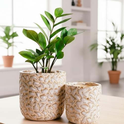Niyara Ceramic Combo planters Pot for Home Garden Balcony Set of 2, Apple 6 & 4 inch (Ivory Brown) - Image 1