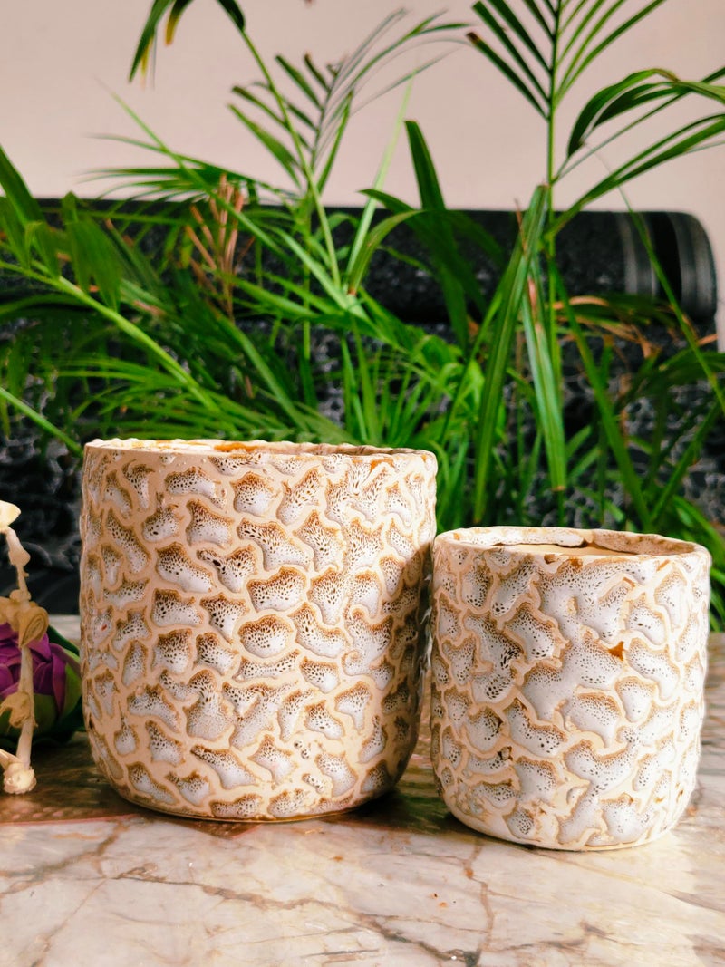 Niyara Ceramic Combo planters Pot for Home Garden Balcony Set of 2, Apple 6 & 4 inch (Ivory Brown) - Image 3