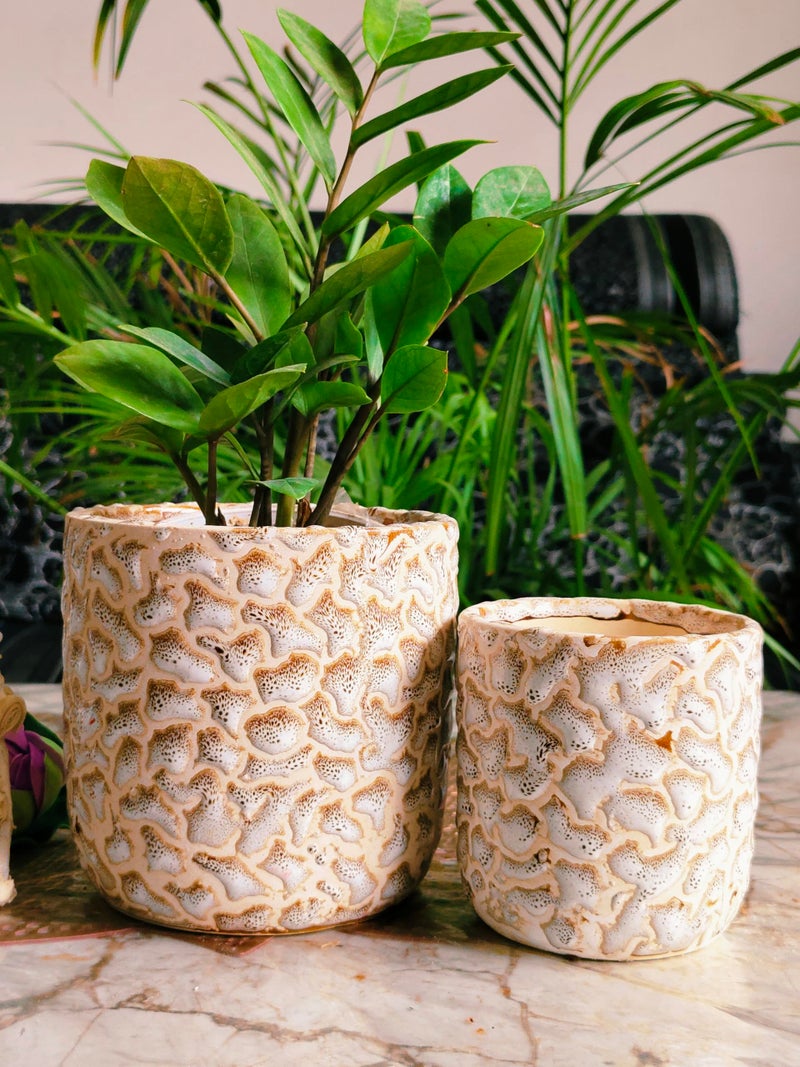 Niyara Ceramic Combo planters Pot for Home Garden Balcony Set of 2, Apple 6 & 4 inch (Ivory Brown) - Image 2