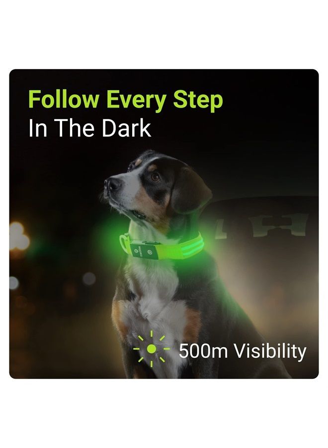 Tractive LED Light Up Dog Collar USB Rechargeable Waterproof (Green) - Image 1