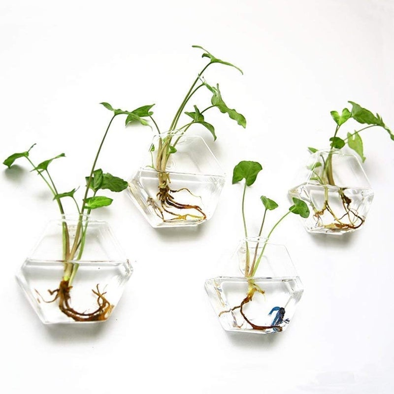 HZYH 3 Pack Wall Hanging Glass Planter, Propagation Terrarium, Hexagon Shape Flower Vase - Stylish Modern Decor for Home &  Office - Image 1