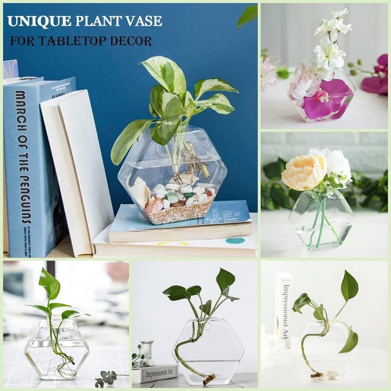 HZYH 3 Pack Wall Hanging Glass Planter, Propagation Terrarium, Hexagon Shape Flower Vase - Stylish Modern Decor for Home &  Office - Image 3