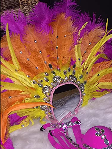 Sowder 10pcs Ostrich Feathers 12-14inch(30-35cm) for Home Wedding Decoration(Orange) - Image 5