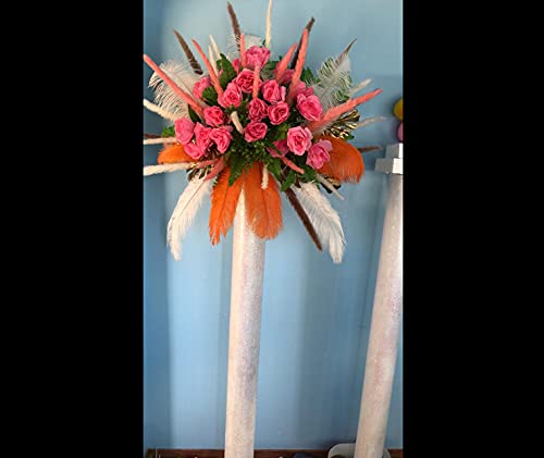 Sowder 10pcs Ostrich Feathers 12-14inch(30-35cm) for Home Wedding Decoration(Orange) - Image 4