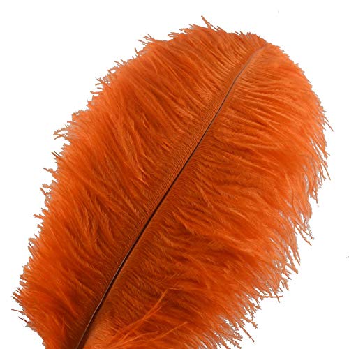 Sowder 10pcs Ostrich Feathers 12-14inch(30-35cm) for Home Wedding Decoration(Orange) - Image 1