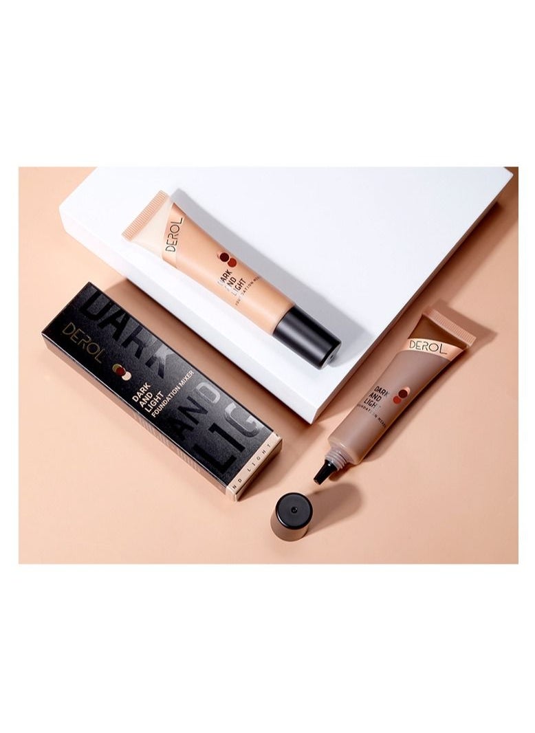 Day And Night Foundation Mixer