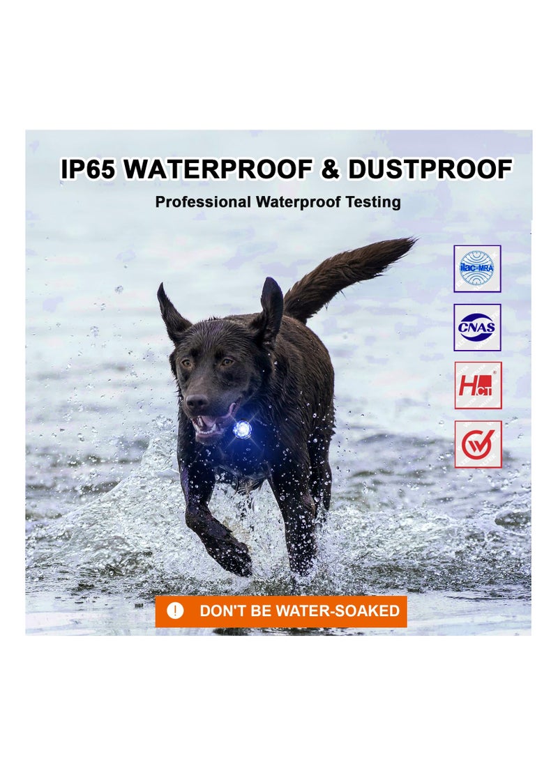 SYOSI - Waterproof Dog Collar Lights for Night Walking, 3 modes Rechargeable Night Walking Dog Silicone Safety Light Durable Silicone Dog Collar Light LED Dog Collar Light for Small Medium Dogs - Image 1