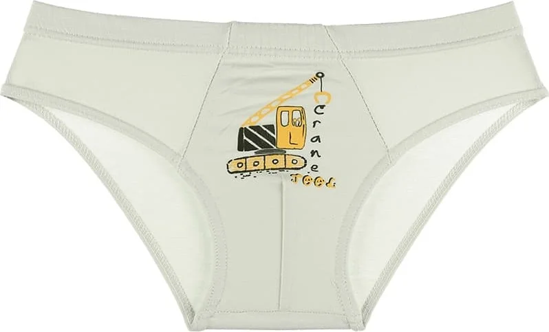 دونيلا 10 Pcs Color Printed Boy's Briefs - 7671VA
