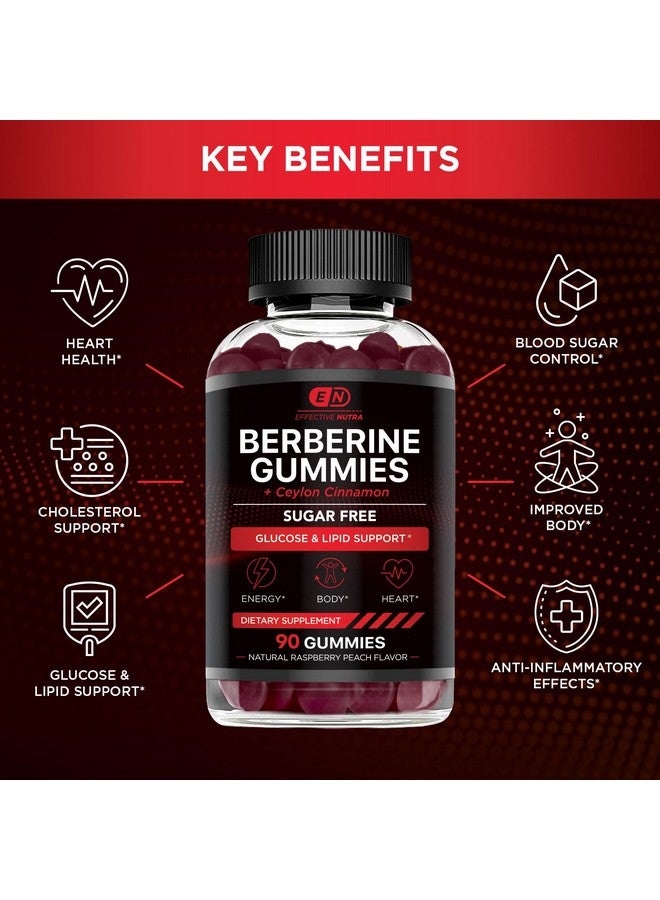 Effective Nutra EFFECTIVE NUTRA Berberine Gummies with Ceylon Cinnamon | Sugar-Free Supplement 1200mg for Blood Sugar Support, Heart Health, Energy | 45-Day Supply, Natural Berry Flavor, Made in USA (90 Count) - Image 2