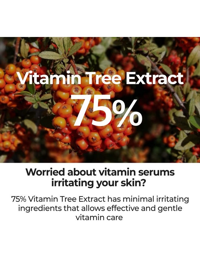 numbuzin numbuzin No.5 Goodbye Blemish Serum | Blemish Serum for Dark Spots, Acne Scars with Vitamin C, Niacinamide, Antioxidant | Lightweight Gel, Korean Skin Care for Face | 1.69 Fl Oz  - Image 3