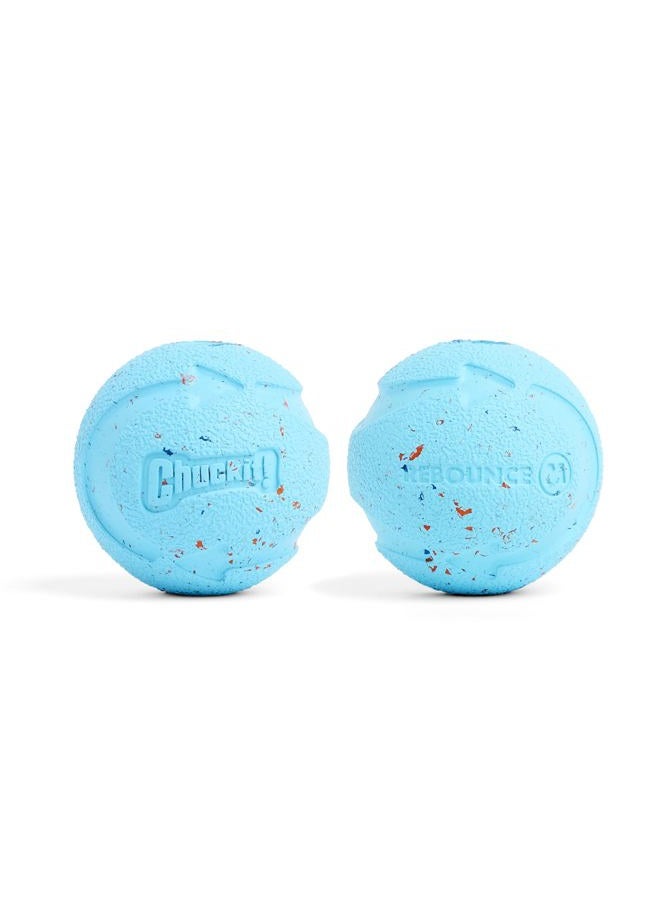 Chuckit! Med Rebounce Ball 2-Pack - Image 1
