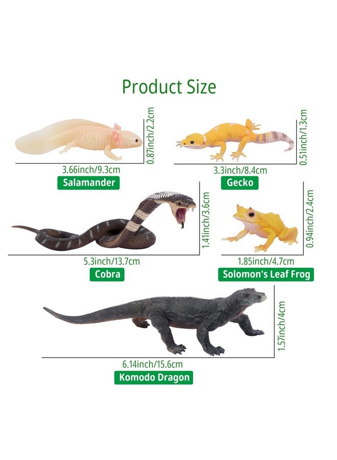 Toymany Reptile Animal Figurine Toys Set, 12 PCS Desert Amphibians Animal Figures with Komodo Dragon Lizard Snake Chameleon Rainforest Cold Blooded Animals Figures Party Favor for Kids - Image 5