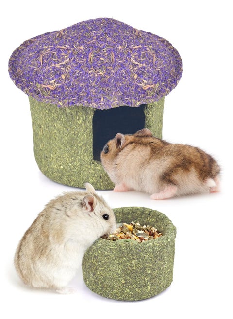 Hamster Chew Bowl and Hideout Timothy Hay Edible Treats for Small Hamster Mice Rat Small Pets, Medium
