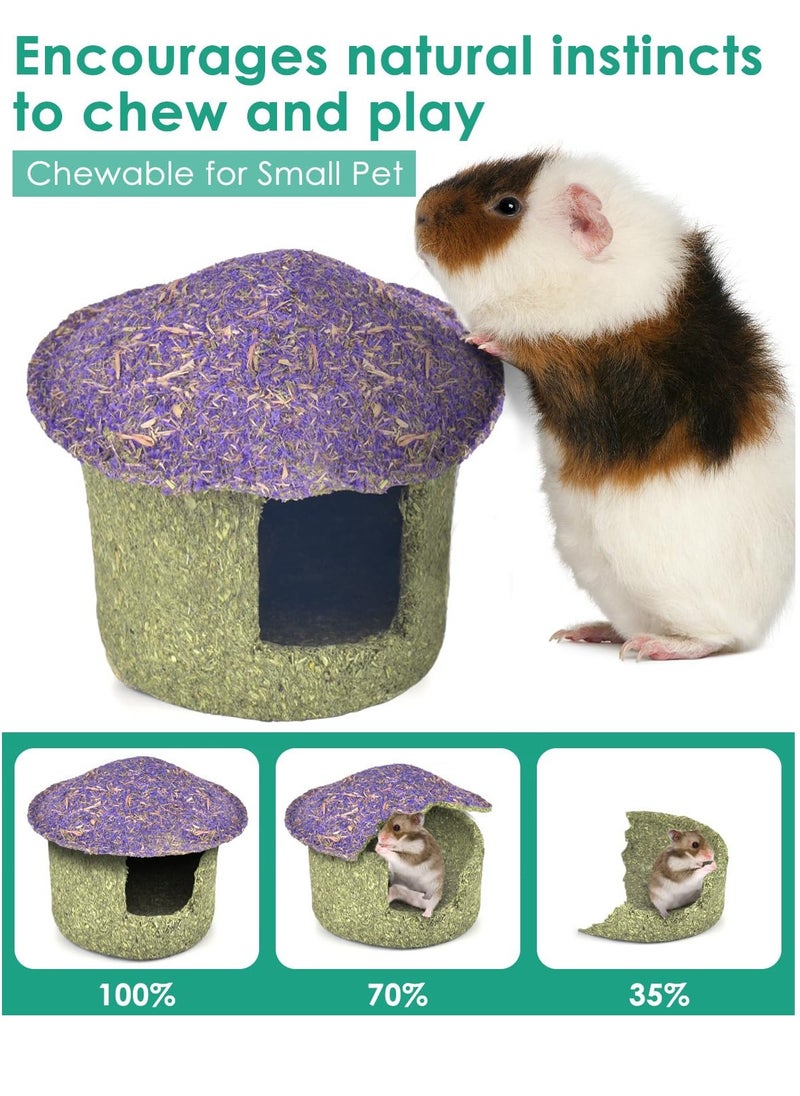 Hamster Chew Bowl and Hideout Timothy Hay Edible Treats for Small Hamster Mice Rat Small Pets, Medium