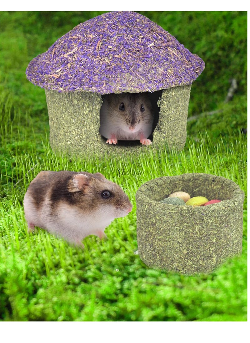Hamster Chew Bowl and Hideout Timothy Hay Edible Treats for Small Hamster Mice Rat Small Pets, Medium