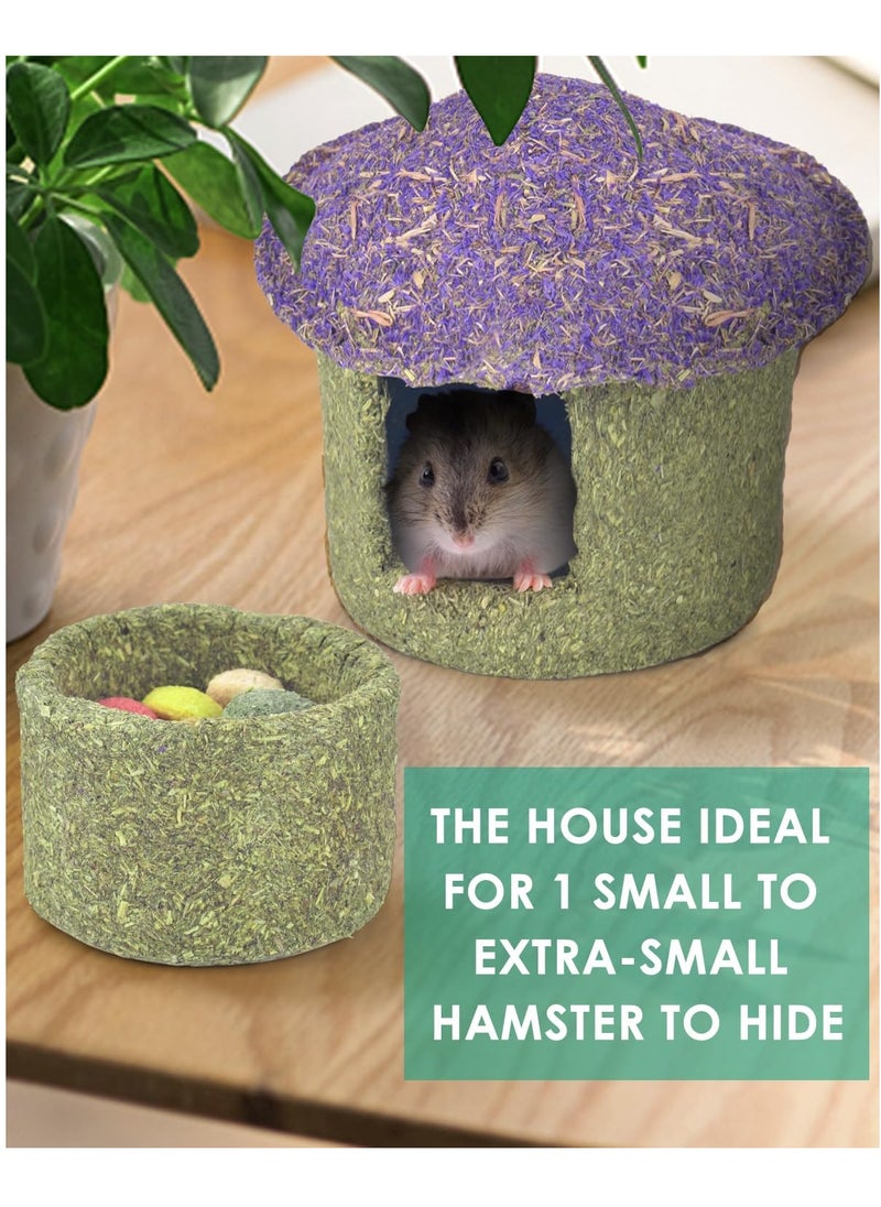 Hamster Chew Bowl and Hideout Timothy Hay Edible Treats for Small Hamster Mice Rat Small Pets, Medium
