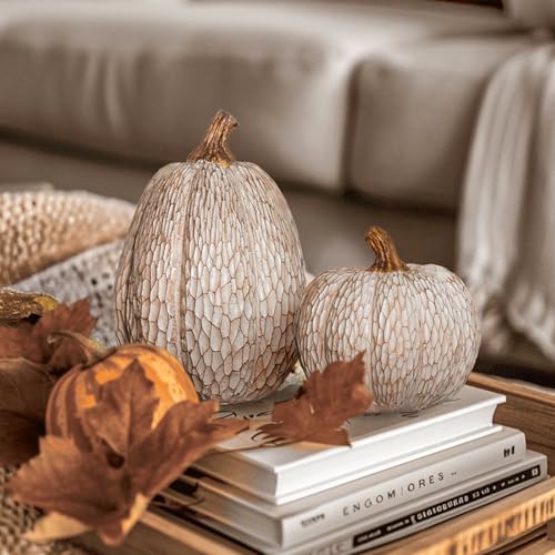 DN DECONATION Thanksgiving Resin Pumpkins Fall Decor, Brown and White Decorative Pumpkins Figurine, Artificial Carved Faux Pumpkin Statues for Rustic Fall Tabletop Home Decor, Farmhouse, Autumn, Harvest, Wedding - Image 2