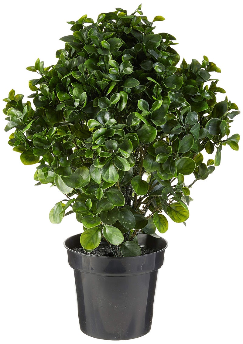 Nearly Natural Nearly Natural 28in Peperomia Plant UV Resistant IndoorOutdoor 