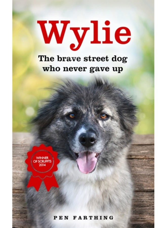 Wylie : The Brave Street Dog Who Never Gave Up