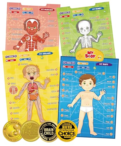 BEST LEARNING i-Poster My Body – Interactive Educational Human Anatomy Talking Toy for Kids Ages 5-12 to Learn Body Parts, Organs, Muscles and Bones Through Fun Sound and Quiz Modes - Image 1