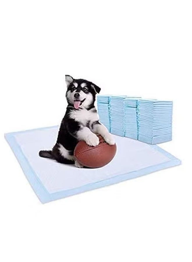 كيكي عبوة من 100 فوطة لتبول الحيوانات الأليفة سريعة الامتصاص ويمكن التخلص منها - Image 5