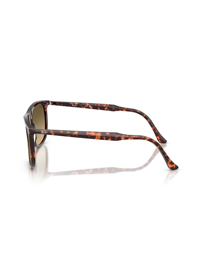 Ray-Ban Unisex RB2216 14290A Unisex's Full Rim Rectangular Sunglasses - Lens Size: 61 mm - Image 3