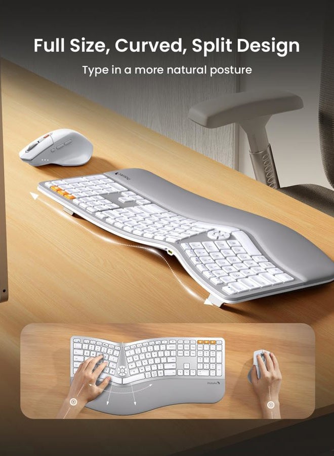 ProtoArc Ergonomic Wireless Keyboard Mouse, EKM01 Plus Full Size Ergo Bluetooth Keyboard Mouse Combo, Split Design, Wrist Rest, Multi-Device, Rechargeable, for Windows/Mac OS - White and Silver - Image 2