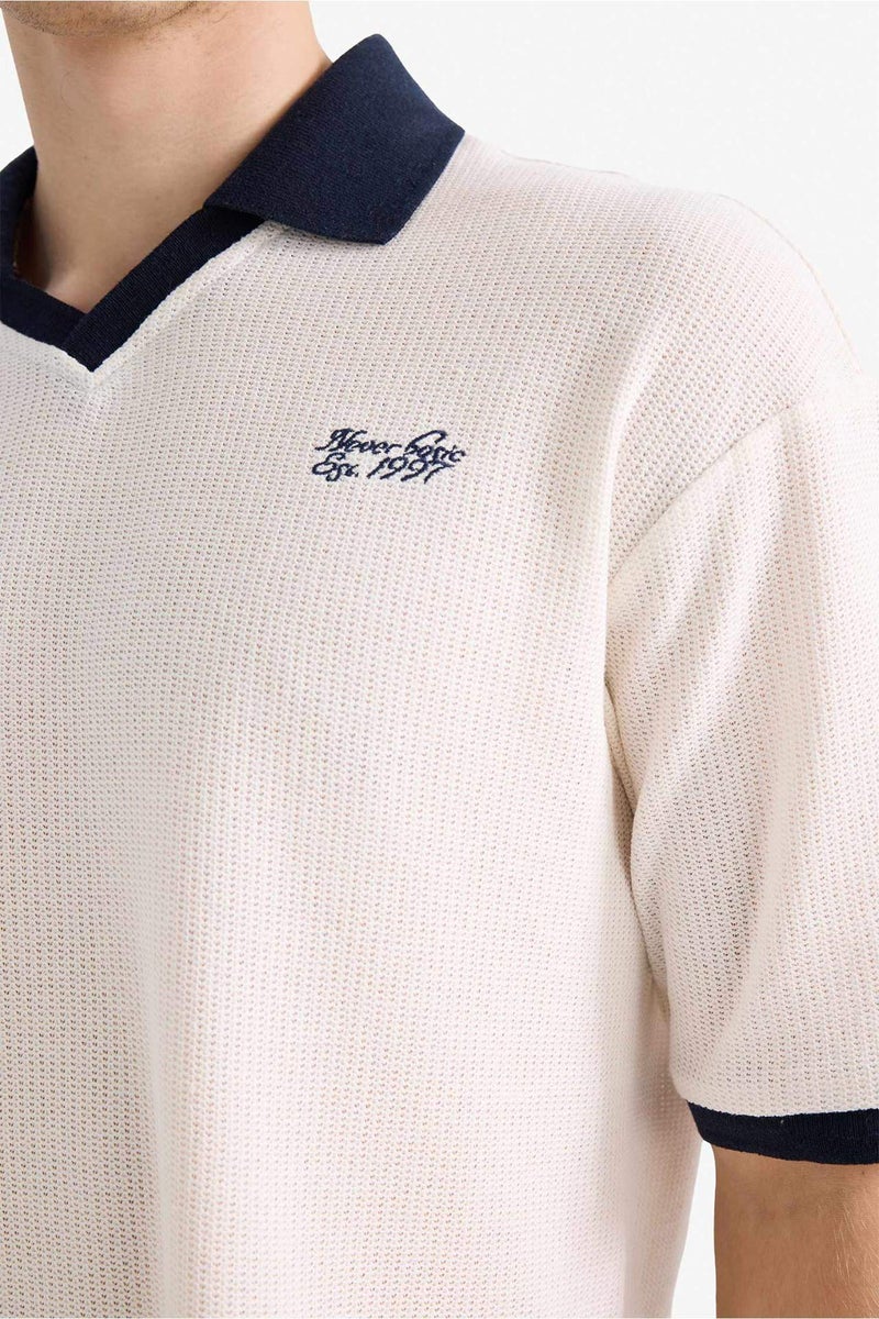 DeFacto Textured Boxy Fit Polo T-Shirt - Image 4