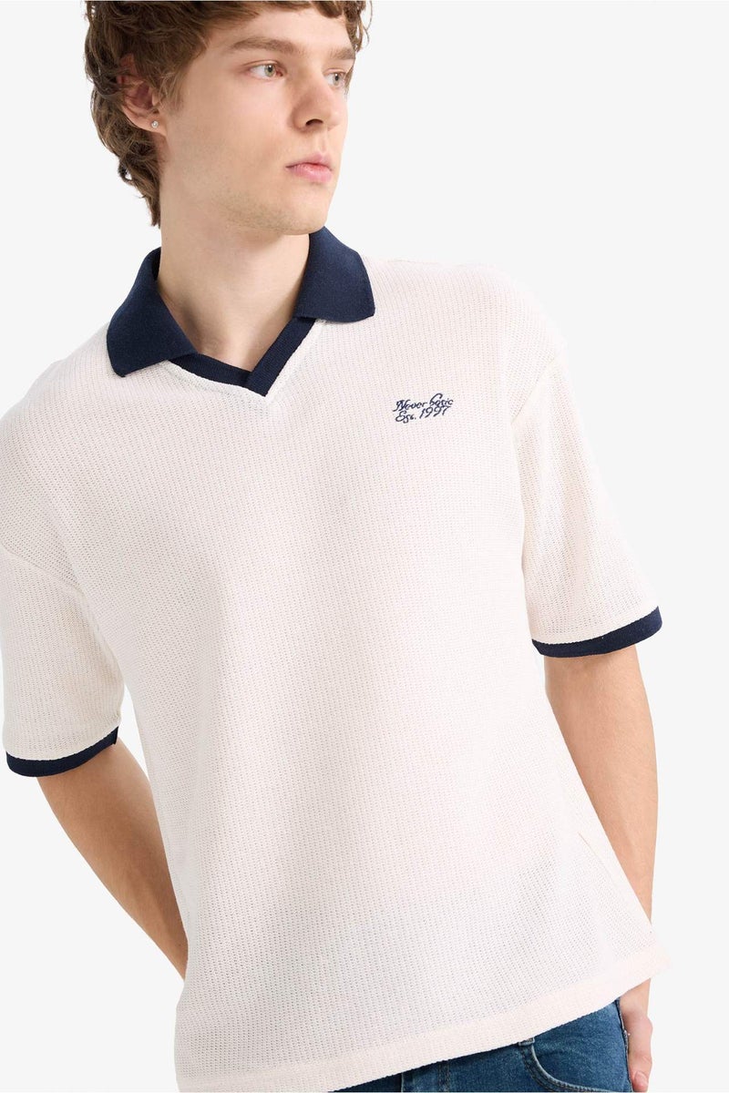 DeFacto Textured Boxy Fit Polo T-Shirt - Image 3