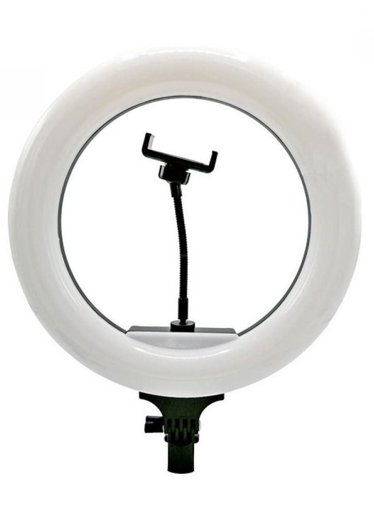 Generic - Ring Light RL-14 Selfie Ring Light Led Lamp with Remote and Tripod Stand for Tiktok Snapchat Youtube Online Streaming 14 Inch - Image 1