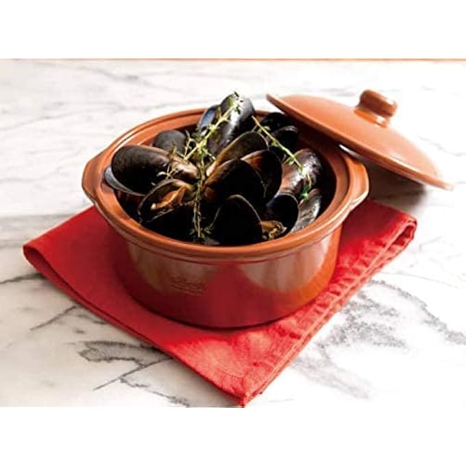 rayihni Spanish Clay Pot Cocotte Traditional Ceramic Pot 2800Ml  23Cm 202 Brown - Image 4