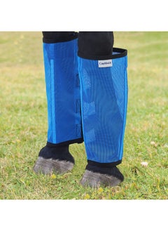 Mesh Fly Boots For Horse Stomp Reduction Easy To Wear Set Of 4Sky Blue - pzsku/ZE02F794FC0C735C6EE90Z/45/_/1726220381/ba66073f-0bfa-4c9d-a364-9dd42c539667