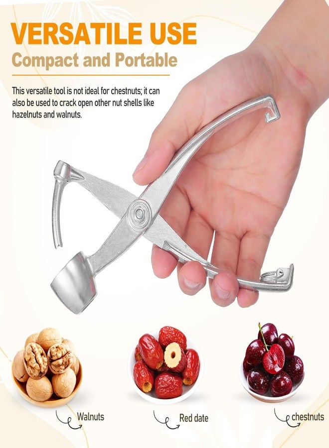SAFIGLE Heavy Duty Stainless Steel Cherry Pitter and Olive Remover Tool Compact Wear-Resistant Metal Corer for Household Date and Cherry Pitting Kitchen Gadget for Fruit and Vegetable Core Removal - Image 3
