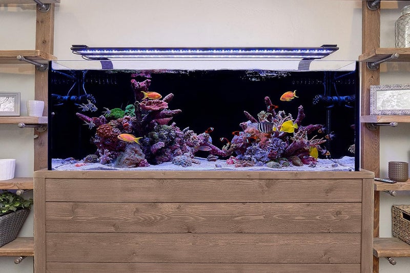 Current USA 24-36" Inch Orbit Marine LED Saltwater Reef Marine Aquarium Light | 24 Hour IR Lighting & eFlux Wave Pump Control | Adjustable Color Spectrum for Fish Tank (4101) - Image 2