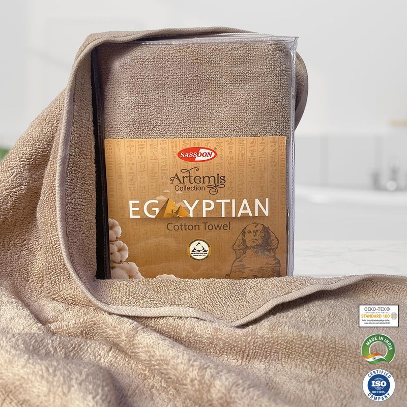 Sassoon Artemis Egyptian 2 Piece Cotton Hand Towel | 40x60 cm | Taupe - Image 3