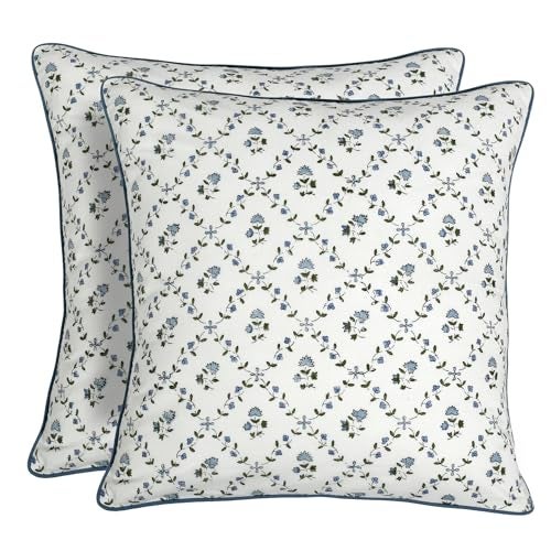 Ridhi Block Print Powder Blue Pillow Cover 20 x 20 Pack of 2 Decorative Couch Pillows for Living Room Farmhouse Chic Boho Cute Outdoor Pillows Covers Gifts for Spring Mothers Day - Image 1