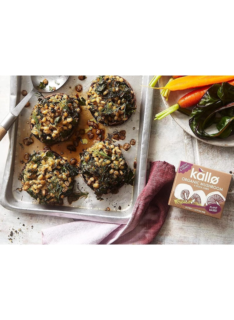 كالو 6 مكعبات مرق فطر عضوي، خالي من الغلوتين، مناسب للنباتيين ومناسب لمرضى الاضطرابات الهضمية، بدون ألوان أو نكهات أو مواد حافظة اصطناعية، مرق خضار فاخر للمرق وصلصة الحساء والمرق 66 جم - Image 4