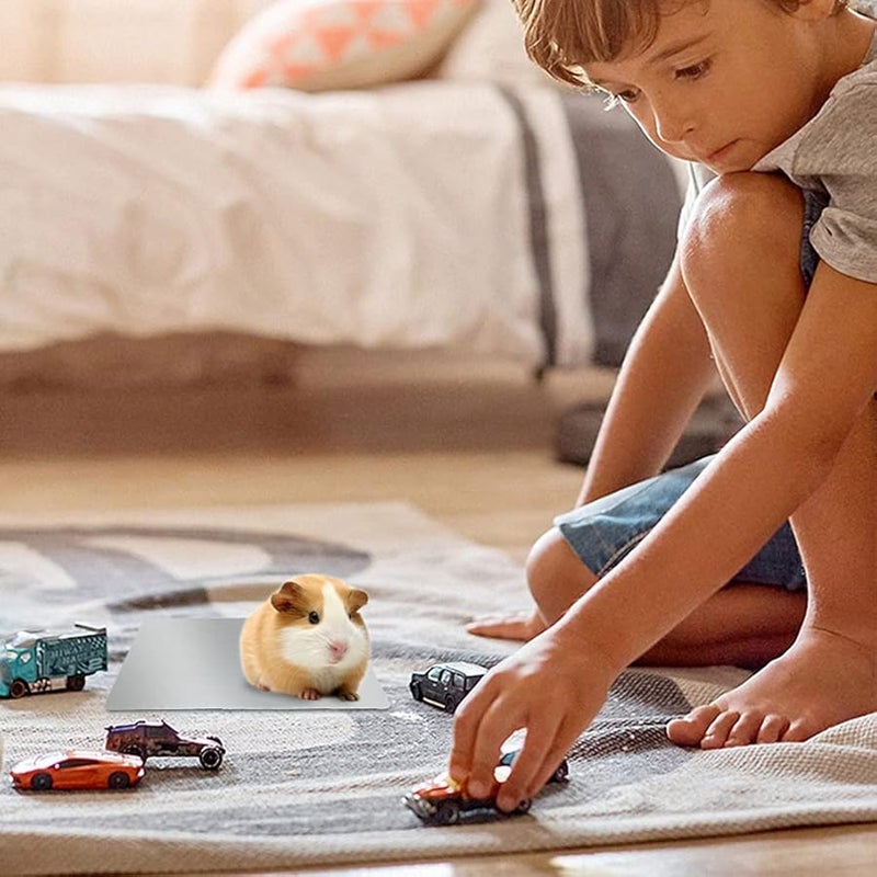 حصيرة تبريد الألومنيوم تيهوكس للأرانب والهامستر والقنافذ وسادة الحيوانات الأليفة الصيفية - Image 5