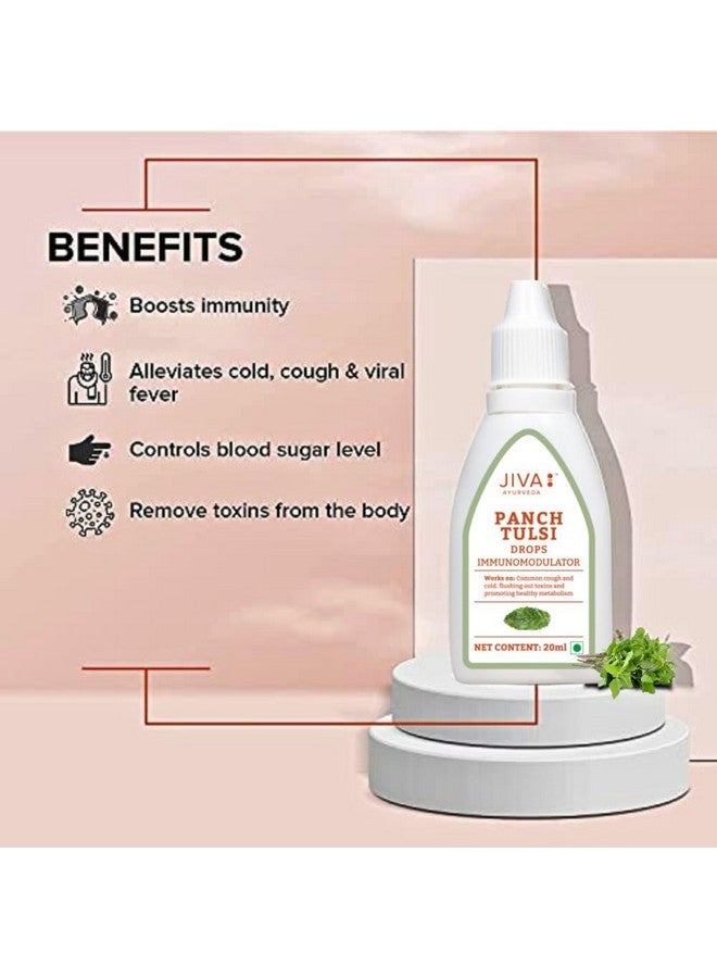 Jiva Tulsi Drops - 20 ml | 100% Ayurvedic Formulation Made Of Five Species Of Tulsi | Detox The Body, Boost 5X Immunity & Promote Healthy Metabolism | Prevents Cough, Cold & Viral Fever (Pack of 1) - Image 4