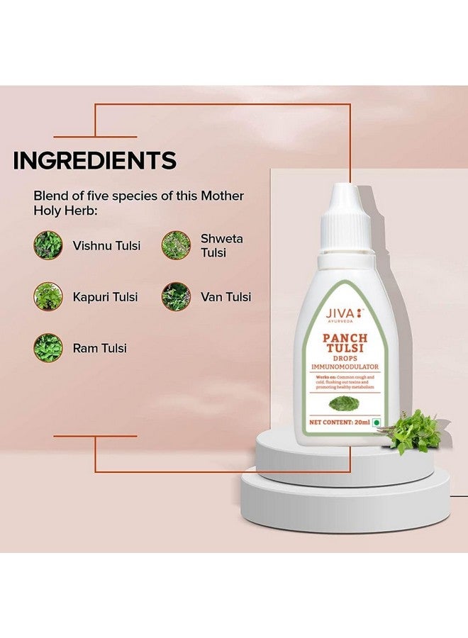 Jiva Tulsi Drops - 20 ml | 100% Ayurvedic Formulation Made Of Five Species Of Tulsi | Detox The Body, Boost 5X Immunity & Promote Healthy Metabolism | Prevents Cough, Cold & Viral Fever (Pack of 1) - Image 5