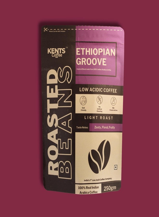 Kents Coffee مجموعة حبوب قهوة كينتس المحمصة تحميصًا خفيفًا | قهوة قليلة الحموضة | ١٠٠٪ حبوب أرابيكا كاملة من الدرجة AA | نكهات الفواكه والحمضيات والكاكاو | تحضير ساخن وبارد | منشأ تشيكماغالور | خالية من الهندباء | عبوة من قطعتين (٢٥٠ غرام × ٢) - Image 5