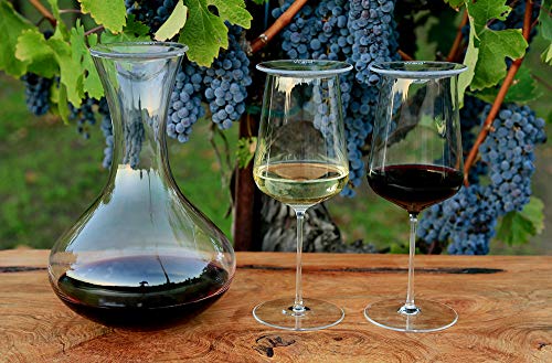 vinolid Wine Glass Cover - 4 Pack - Image 5