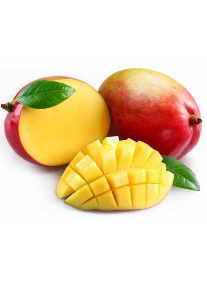 Palmer Mangoes, 400g to 500g , Brazil